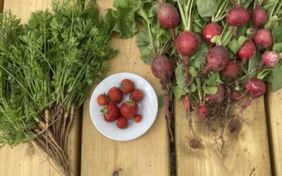 First Harvest